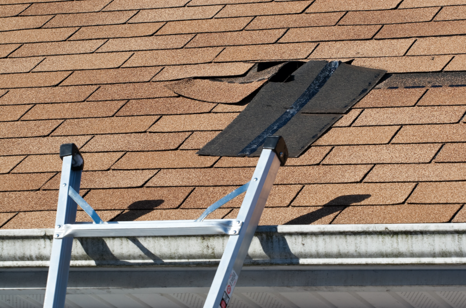 hail damaged roof in minneapolis