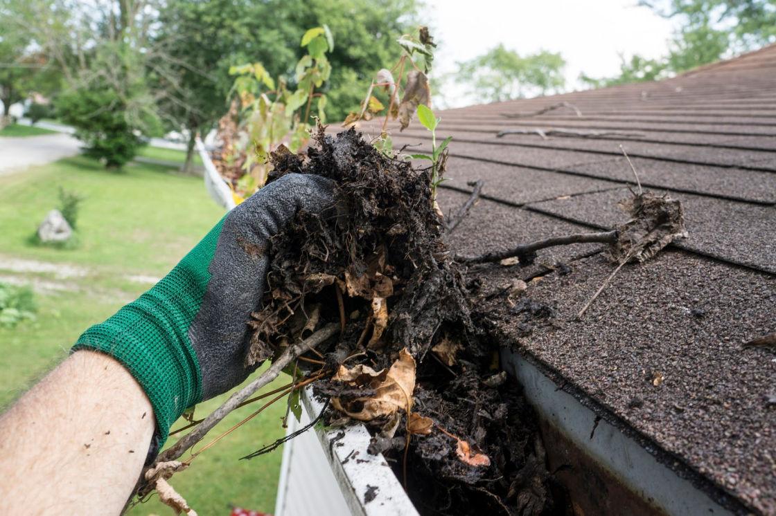 spring and fall maintenance protect roof from winter damage
